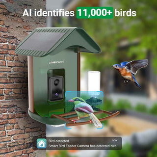 Vernetztes Vogelhäuschen mit KI-Artenerkennung