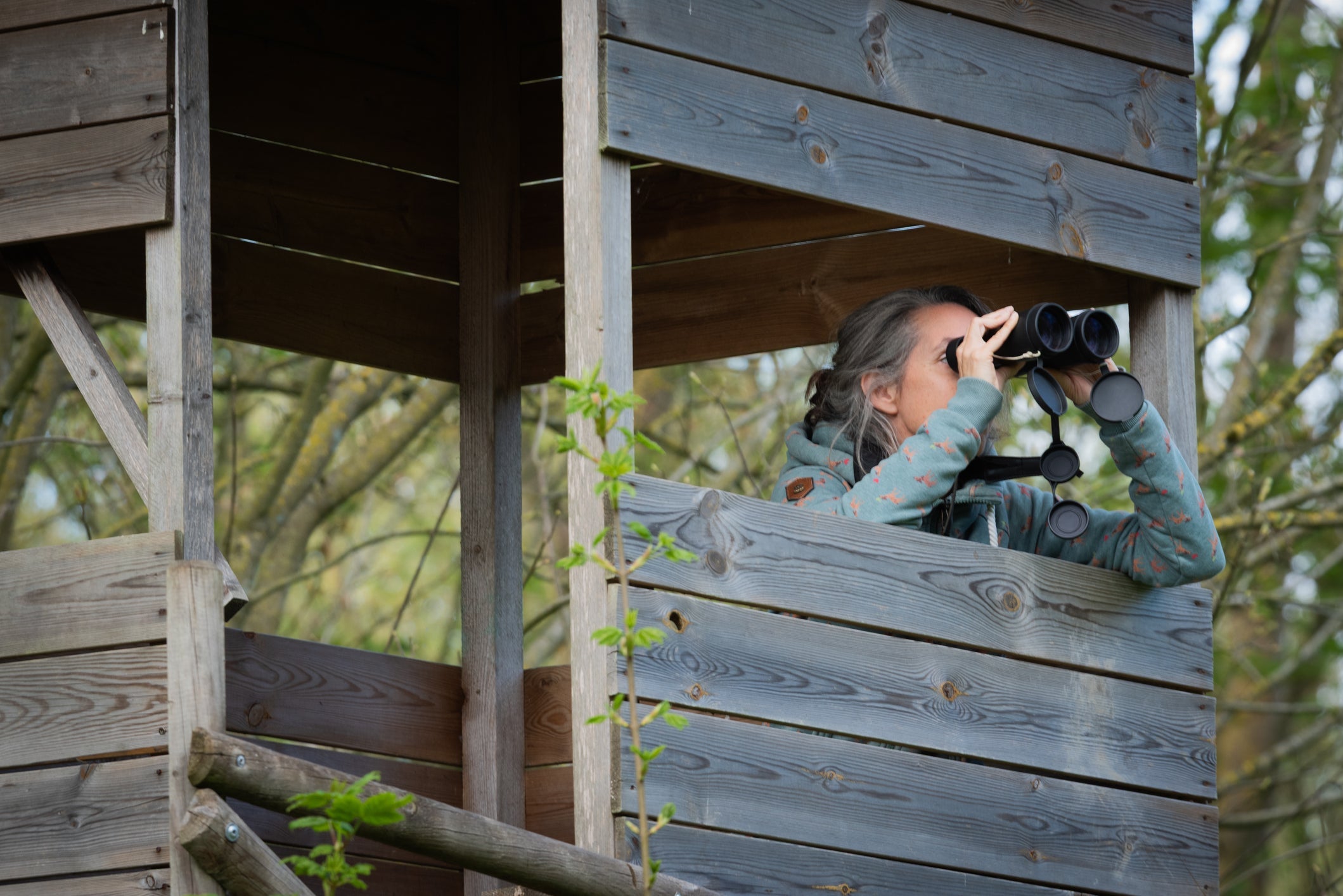 Les jumelles dites « gabionneur »