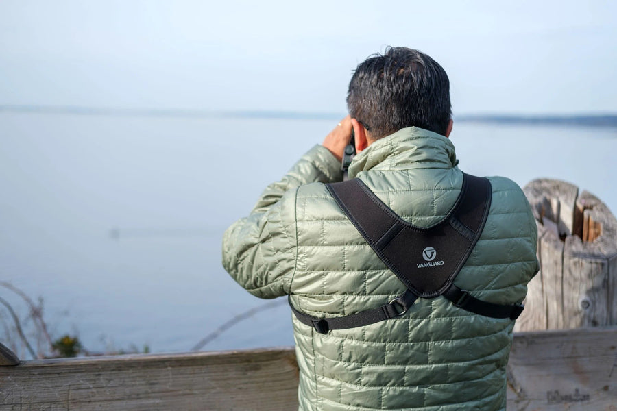 fernglas VEO HD IV 10X42 + Veo Optic Guard Tragegurt + Digiskopie-Kit Pack Vanguard 