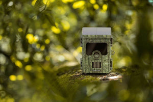 Wildkamera Camouflage EZ-SOLAR WIFI 4K 