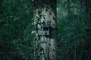Wildkamera Camouflage EZ-SOLAR WIFI 4K 