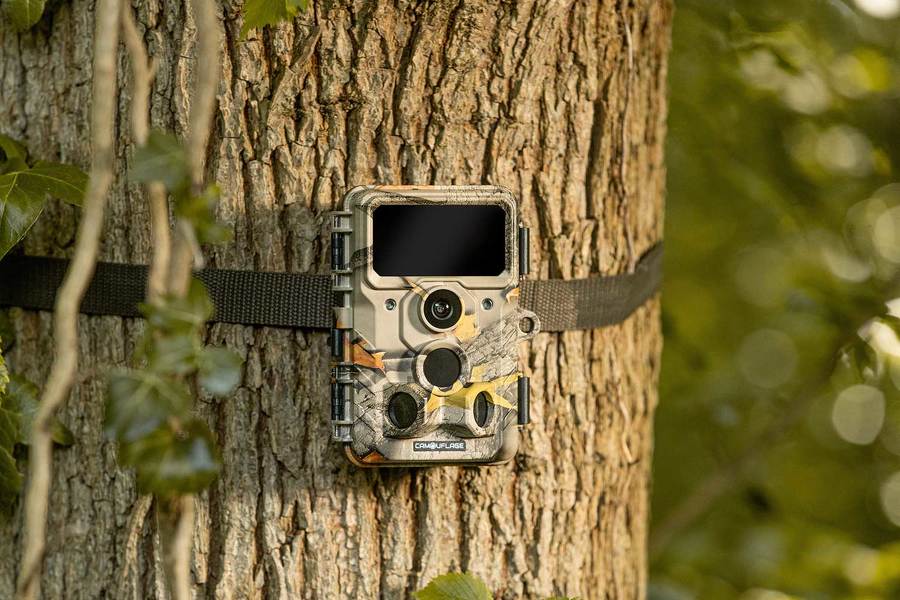 Camouflage EZ60 Wi-Fi Jagdkamera - An Smartphone senden 
