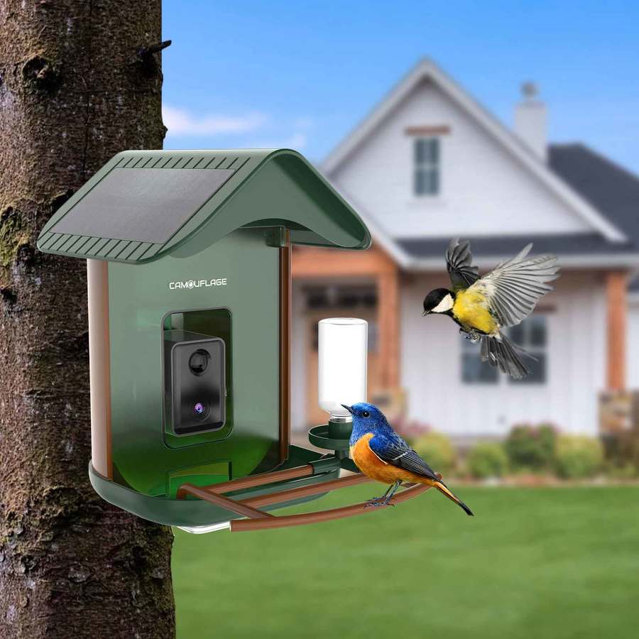 Vernetztes Vogelhaus mit KI-gestützter Artenerkennung 