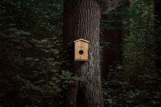 Nichoir à oiseaux connecté avec détection des espèces par ia ez-nesteye