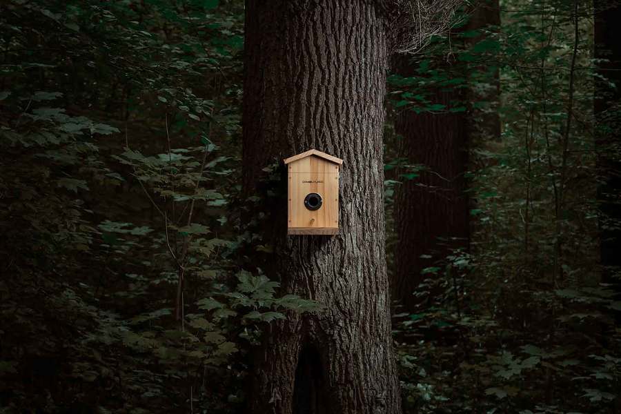 Vernetztes Vogelhaus mit KI-gestützter Artenerkennung ez-nesteye 