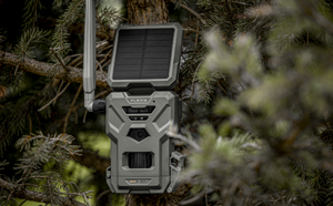 Fotofalle Spypoint Flex S 