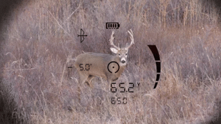 Bushnell FUSION X Telemetrie 10x42 Fernglas