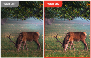 Hikmicro habrok HQ35LN 4k Wärmebildfernglas