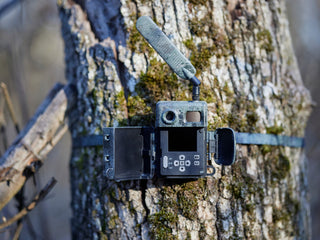 ZEISS Secacam 7 vernetzte Kamerafalle