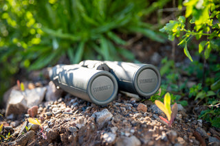 Steiner Ranger LRF 10X42 Fernglas