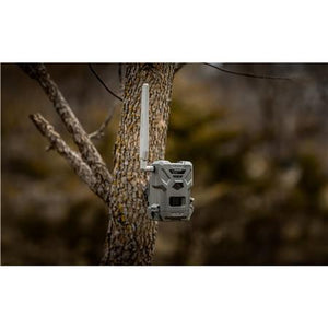Spypoint Flex-M Twin Pack Kamera 