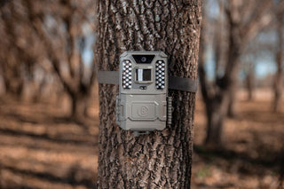 Bushnell Prime 24MP weiße LED-Kamerafalle