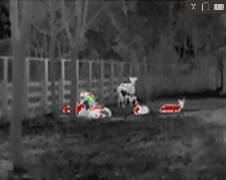 monokular Wärmebildgerät HiKMICRO Lynx LC06 S verbunden 