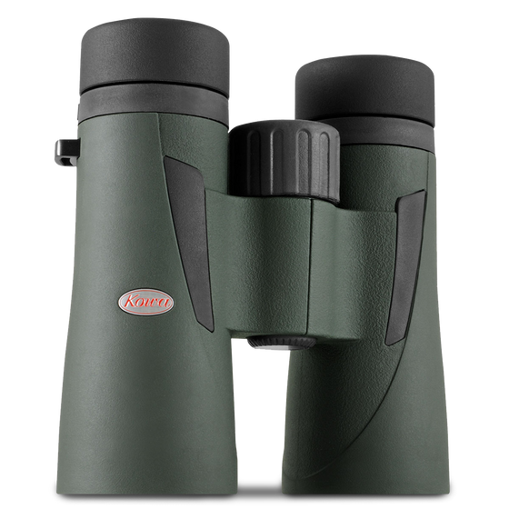 Kowa BDIII-XD 8×42 — vue principale