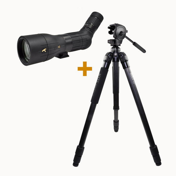 Kite Optics KSP 80 HD 25-50X80 Spektive + Ardea CF Stativ mit Manfrotto 128 RC Kugelkopf