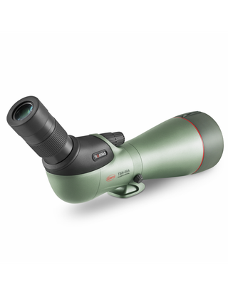 Longue-vue Kowa TSN-99A visée 45° avec oculaire TE-11WZ II