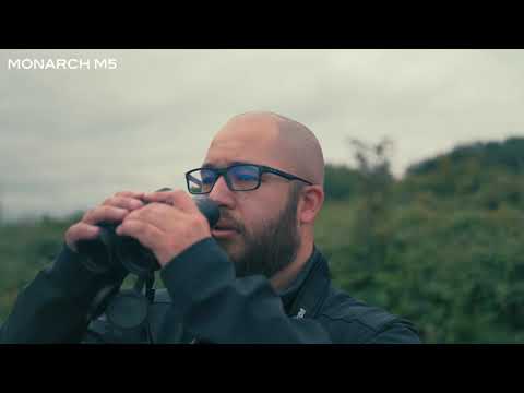 fernglas Nikon Monarch M5 8X42 