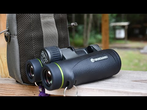 fernglas Vanguard Endeavor ED IV 10X42 