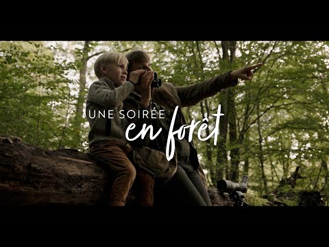 fernrohre Kite Optics KSP 80 HD 25-50X80 + Stativ Ardea CF mit Manfrotto 128 RC Videoneiger 