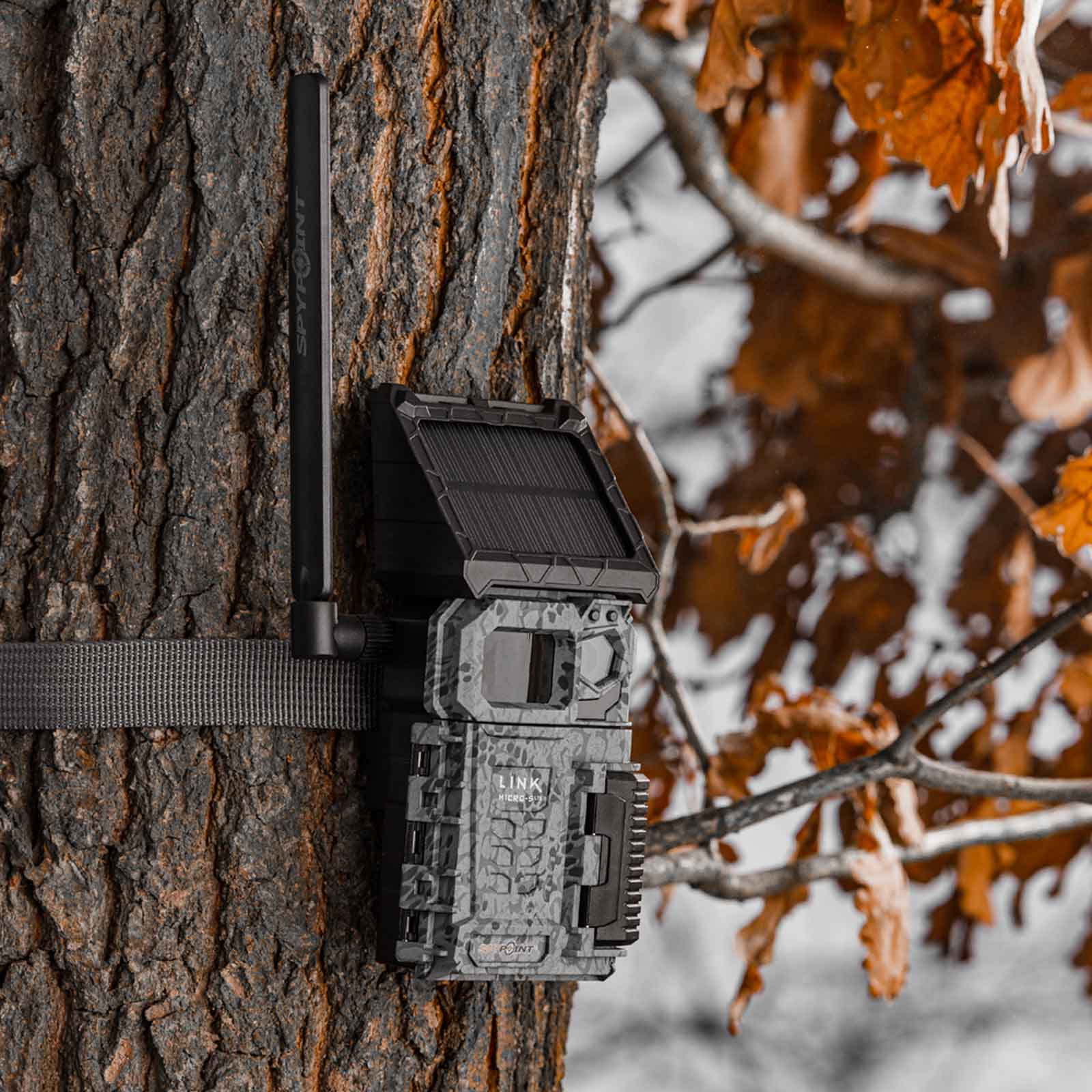Spypoint FLEX Solar-Fotofalle mit Foto-/Videoübertragung 