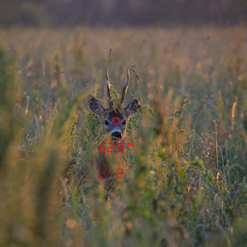 fernglas GPO mit Entfernungsmesser Rangeguide 2800 8x32 