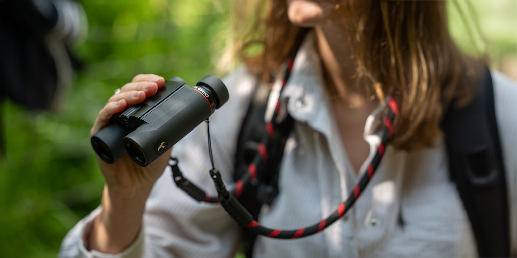 fernglas Kite Falco 10X25 