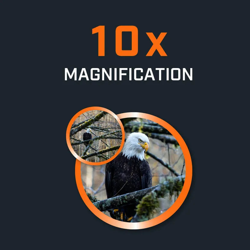 fernglas Bushnell H2O 2.0 10x42 